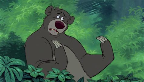 baloo the bear in the jungle book|baloo handsome bear disney.